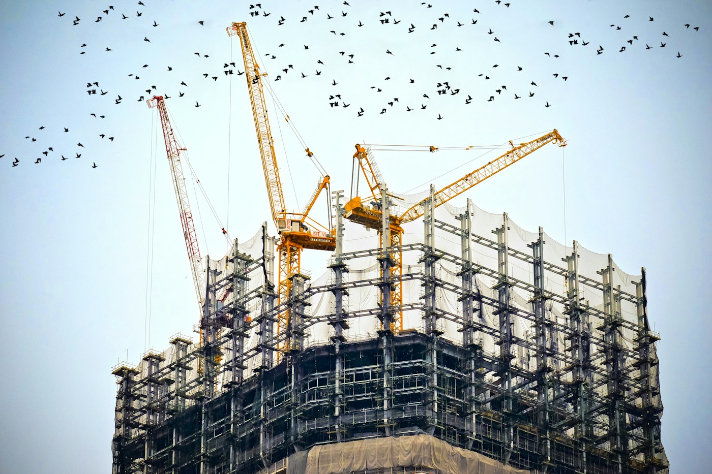 Cranes above a building under construction