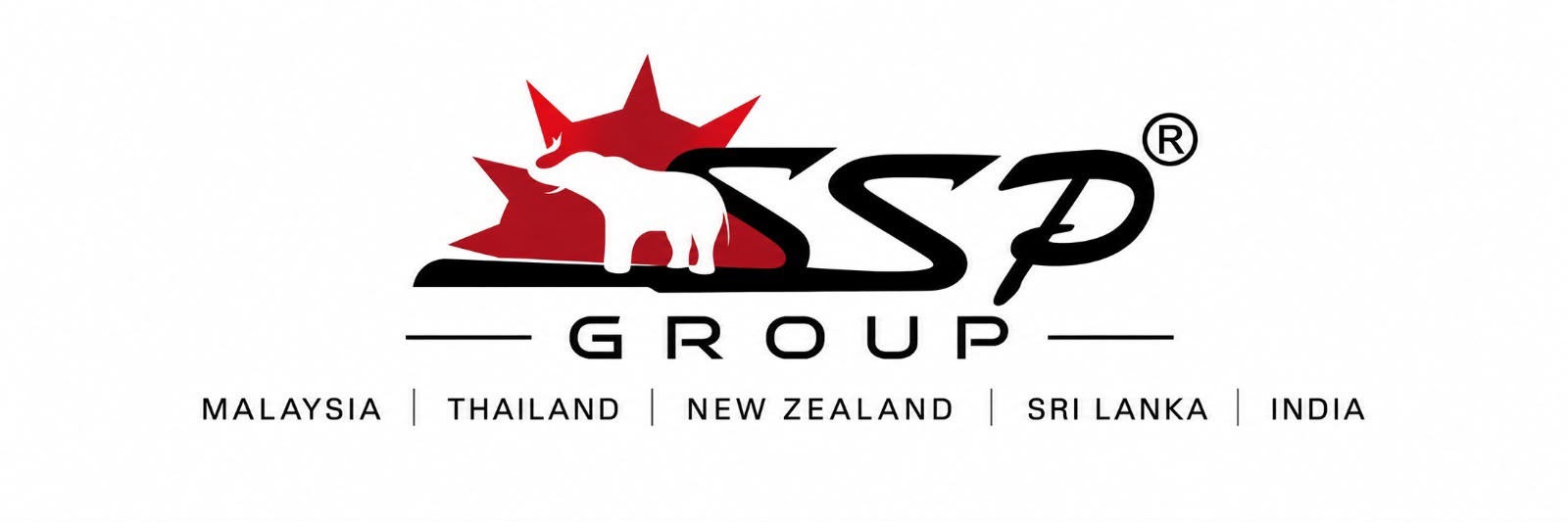 Sun Wiprov Group logo